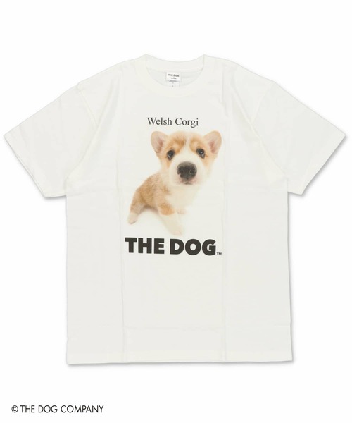 SPINNS(スピンズ)の「『THE DOG 第一弾』Tシャツ(Tシャツ/カットソー・レディース・その他8/その他10/その他13/その他19/その他22/その他24/その他4/その他7/その他9/その他12/その他20/その他21/その他23/その他6/その他14/その他15/その他16/その他17/その他18/その他25/その他26/その他27/その他28/その他29/その他1/その他2/その他3/その他5/その他11/その他30・ONESIZE)」の13枚目の写真