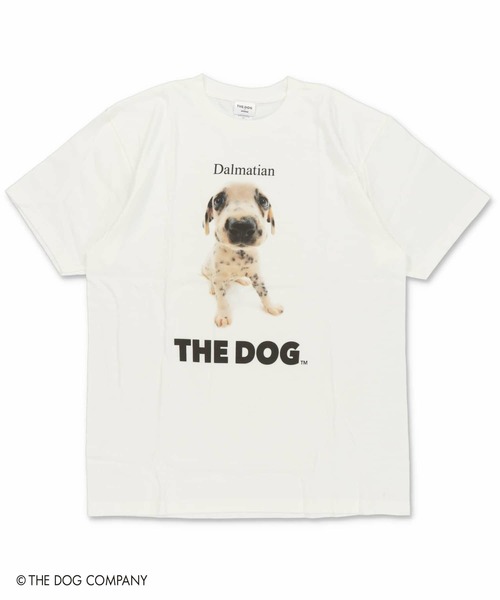 SPINNS(スピンズ)の「『THE DOG 第一弾』Tシャツ(Tシャツ/カットソー・レディース・その他8/その他10/その他13/その他19/その他22/その他24/その他4/その他7/その他9/その他12/その他20/その他21/その他23/その他6/その他14/その他15/その他16/その他17/その他18/その他25/その他26/その他27/その他28/その他29/その他1/その他2/その他3/その他5/その他11/その他30・ONESIZE)」の14枚目の写真