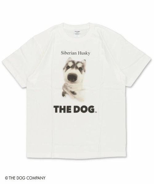 SPINNS(スピンズ)の「『THE DOG 第一弾』Tシャツ(Tシャツ/カットソー・レディース・その他8/その他10/その他13/その他19/その他22/その他24/その他4/その他7/その他9/その他12/その他20/その他21/その他23/その他6/その他14/その他15/その他16/その他17/その他18/その他25/その他26/その他27/その他28/その他29/その他1/その他2/その他3/その他5/その他11/その他30・ONESIZE)」の17枚目の写真