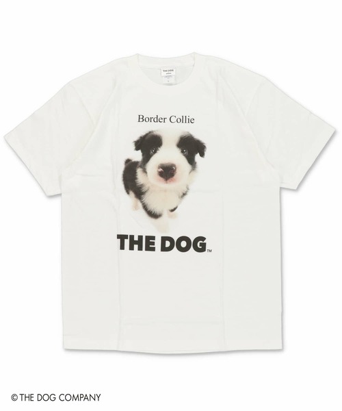 SPINNS(スピンズ)の「『THE DOG 第一弾』Tシャツ(Tシャツ/カットソー・レディース・その他8/その他10/その他13/その他19/その他22/その他24/その他4/その他7/その他9/その他12/その他20/その他21/その他23/その他6/その他14/その他15/その他16/その他17/その他18/その他25/その他26/その他27/その他28/その他29/その他1/その他2/その他3/その他5/その他11/その他30・ONESIZE)」の19枚目の写真