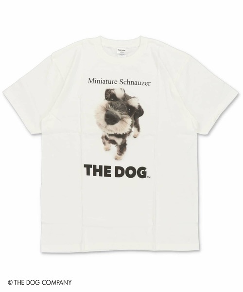 SPINNS(スピンズ)の「『THE DOG 第一弾』Tシャツ(Tシャツ/カットソー・レディース・その他8/その他10/その他13/その他19/その他22/その他24/その他4/その他7/その他9/その他12/その他20/その他21/その他23/その他6/その他14/その他15/その他16/その他17/その他18/その他25/その他26/その他27/その他28/その他29/その他1/その他2/その他3/その他5/その他11/その他30・ONESIZE)」の21枚目の写真