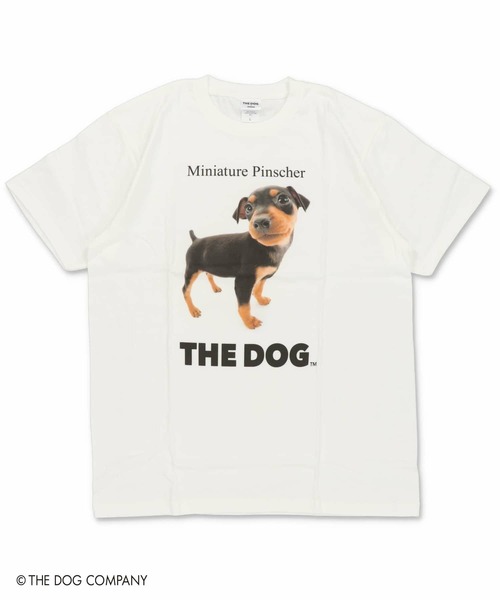 SPINNS(スピンズ)の「『THE DOG 第一弾』Tシャツ(Tシャツ/カットソー・レディース・その他8/その他10/その他13/その他19/その他22/その他24/その他4/その他7/その他9/その他12/その他20/その他21/その他23/その他6/その他14/その他15/その他16/その他17/その他18/その他25/その他26/その他27/その他28/その他29/その他1/その他2/その他3/その他5/その他11/その他30・ONESIZE)」の22枚目の写真