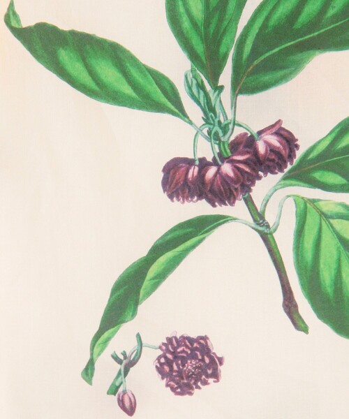 caban（キャバン）の「CABaN コットン Green Showerプリント ハーフスリーブシャツ（シャツ/ブラウス・レディース・ブラック系その他/イエロー系その他/ホワイト系その他/ブラウン系その他・L/S/M）」の17枚目の写真