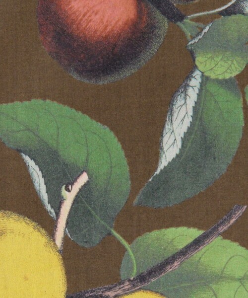 caban（キャバン）の「CABaN コットン Green Showerプリント ハーフスリーブシャツ（シャツ/ブラウス・レディース・ブラック系その他/イエロー系その他/ホワイト系その他/ブラウン系その他・L/S/M）」の18枚目の写真