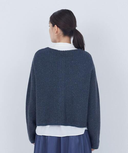 ADIEU TRISTESSE(アデュートリステス)の「ラメ×アルパカウールラーベン柄カーディガン(カーディガン/ボレロ・レディース・ベージュ/ネイビー・FREE)」の17枚目の写真