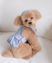 MY LITTLE DOG（マイ リトル ドッグ）の「Aurora Denim Overall Pumpkin Skirt - Blue（ペットウェア）」