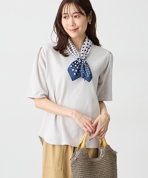 Petit Honfleur(プチオンフルール)の「サッカーストライププルオーバー(Tシャツ/カットソー・レディース・ベージュ/サックスブルー/グレー・M/L)」の1枚目の写真