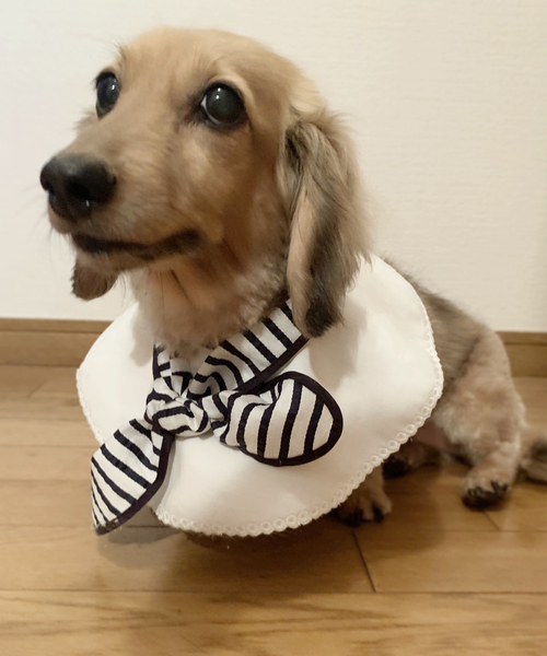 IENA ENFANT（イエナアンファン）の「【MARLMARL】別注 bibs ストライプ（baby）（スタイ/よだれかけ・キッズ・ネイビー・FREE）」の9枚目の写真