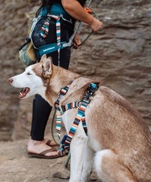 WOLFGANG MAN＆BEAST（ウルフギャングマンアンドビースト）の「WOLFGANG/ウルフギャング 犬用 ハーネス LostArt Harness L WH-003-06（リード/ハーネス/首輪）」