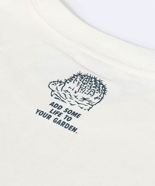 DULTON(ダルトン)の「BOTANY T-SHIRT/ ボタニー Tシャツ(Tシャツ/カットソー・メンズ・チャコールグレー/ホワイト/グレー・LARGE/MEDIUM/SMALL/X-LARGE)」の4枚目の写真