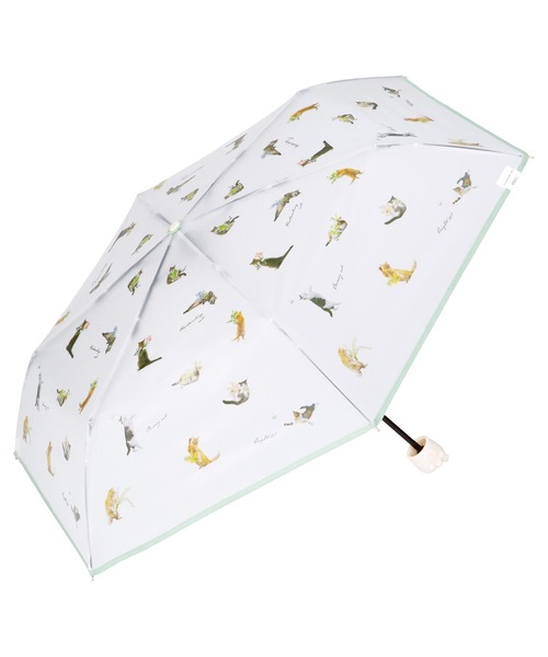 ⚠️激レア⚠️TUBE✖️TOBE コラボ　受注予約限定ビニール傘　新品未使用 ワールドパーティー 雨傘 長傘 ビニール傘 飛行犬×Wpc. 空飛ぶ