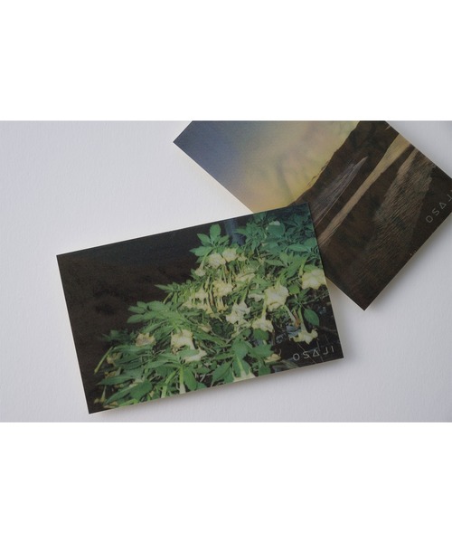 OSAJI（オサジ）の「オサジ ニュアンス ボリューム マスカラ 2024HOLIDAY【数量限定】（マスカラ・レディース・H21 Tagatame〈誰が為〉・FREE）」の2枚目の写真