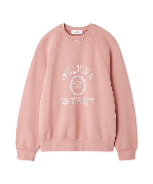Mila Owen（ミラオーウェン）の「ヴィンテージライクカレッジロゴトレーナー（スウェット・レディース・ブルー/ベージュ/ライトグレー/ピンク・0/1）」の4枚目の写真