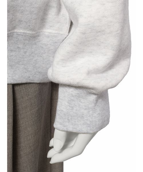 Mila Owen（ミラオーウェン）の「ヴィンテージライクカレッジロゴトレーナー（スウェット・レディース・ブルー/ベージュ/ライトグレー/ピンク・0/1）」の14枚目の写真