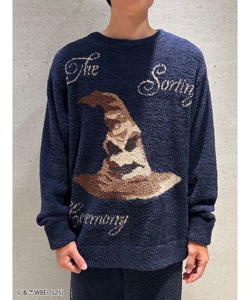 メンズ】【ハリー・ポッター】モチーフニットプルオーバー（ルーム