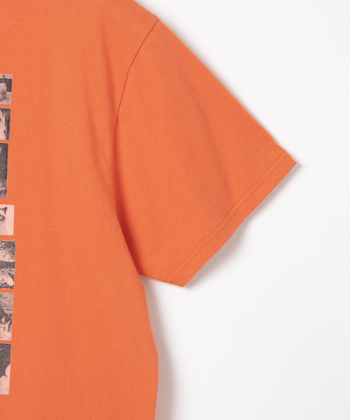 Millo Archive（ミロ アーカイブ）の「カスタムフレームキャットTシャツ[オレンジ]（Tシャツ/カットソー・メンズ・その他・LARGE/X-LARGE/MEDIUM）」の3枚目の写真
