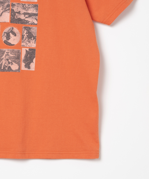 Millo Archive（ミロ アーカイブ）の「カスタムフレームキャットTシャツ[オレンジ]（Tシャツ/カットソー・メンズ・その他・LARGE/X-LARGE/MEDIUM）」の4枚目の写真