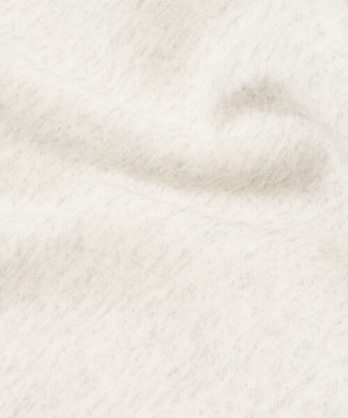 Russell Athletic(ラッセルアスレティック)の「RUSSELL ATHLETIC/ラッセルアスレチック 限定展開 RUSSELL ATHLETIC × FREAK'S STORE / 別注 RS ヘンリーネック スウェット(スウェット・メンズ・アッシュグレー/ブラック/ブラウン/ネイビー・LARGE/MEDIUM/SMALL)」の18枚目の写真