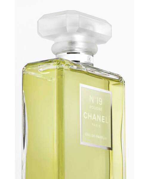 CHANEL シャネル N°19 プードレ オードゥ パルファム 100ml香水 CHANEL（シャネル）の「シャネル N°19 プードレ オードゥ パルファム