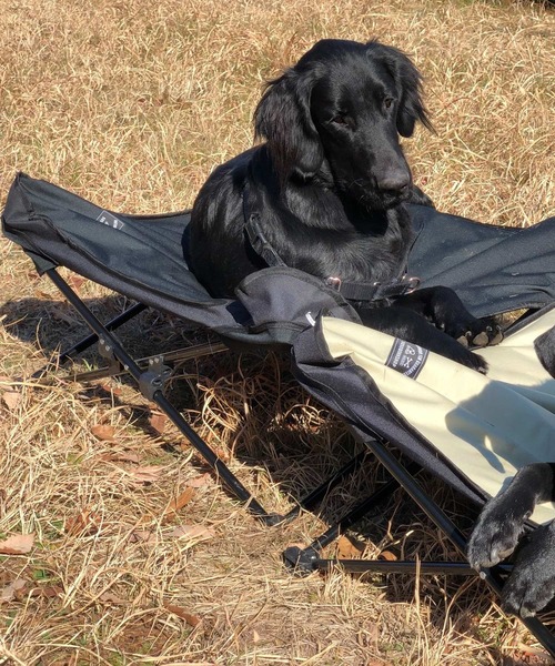 【5050 WORK SHOP】アニマルコットL（WEB限定）（アウトドアグッズ）｜BAYFLOW（ベイフロー）