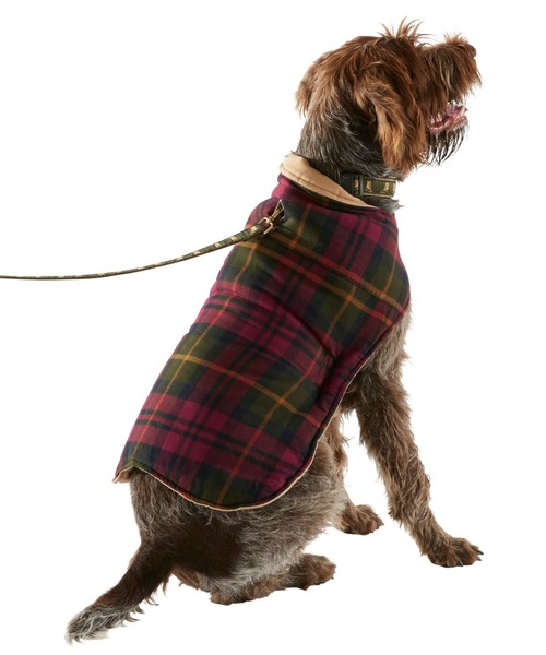 リバーシブル・フィールド・コート・フォー・ドッグ スモール（ペット