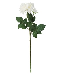 a.depeche(�A�f�y�V��)�́ya.depeche/�A�f�y�V���z�A�[�e�B�t�B�V�����t�����[�@���ԁ@colorer �e(22-03-WH)(�t�����[�x�[�X)