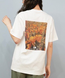 THE NORTH FACE/ザ・ノース・フェイス バックプリントTシャツ NT32549