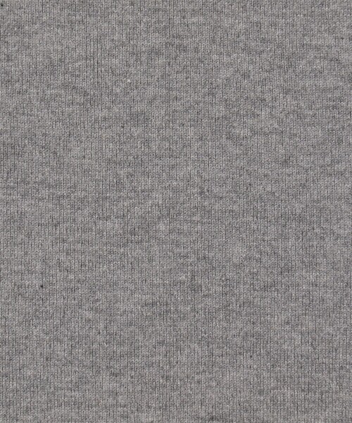 コットンフライス Tシャツ（Tシャツ/カットソー）｜EDITION