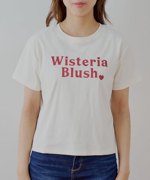 カラーロゴTシャツ（Tシャツ/カットソー）｜Chico（チコ）の