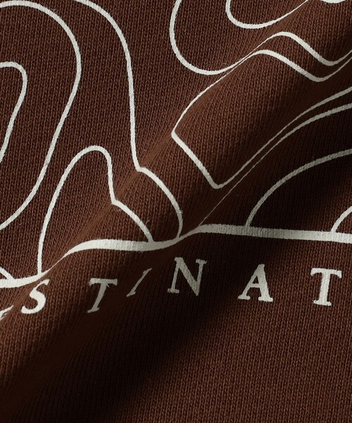 BEAMS T（ビームスティー）の「BEAMS / "NO DESTINATION" Crewneck Sweat（スウェット・メンズ・ブラウン・XL/L/M/S）」の7枚目の写真