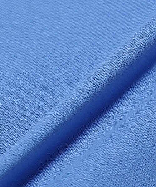 Champion(チャンピオン)の「【別注】Champion / Fake In T-Shirt(Tシャツ/カットソー・メンズ・ホワイト/ブラック/ブルー/グレー・SMALL/LARGE/X-LARGE/MEDIUM)」の18枚目の写真