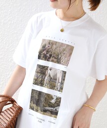 【SHIPS別注】THE CULTURE CORD: ARTIST TEE(AS)