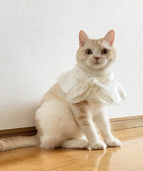 IENA ENFANT(イエナアンファン)の「【MARLMARL】別注 bibs フリル(baby)(スタイ/よだれかけ・キッズ・ホワイト・FREE)」の20枚目の写真