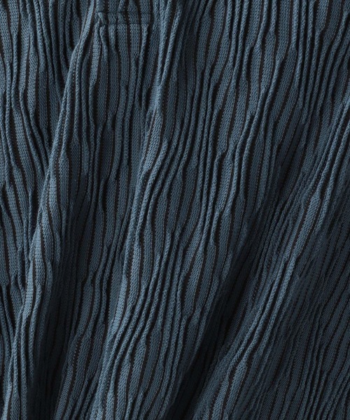 RAGEBLUE（レイジブルー）の「3Dジャガードポロシャツ（ポロシャツ・メンズ・ベージュ/ブルー・MEDIUM/LARGE）」の21枚目の写真