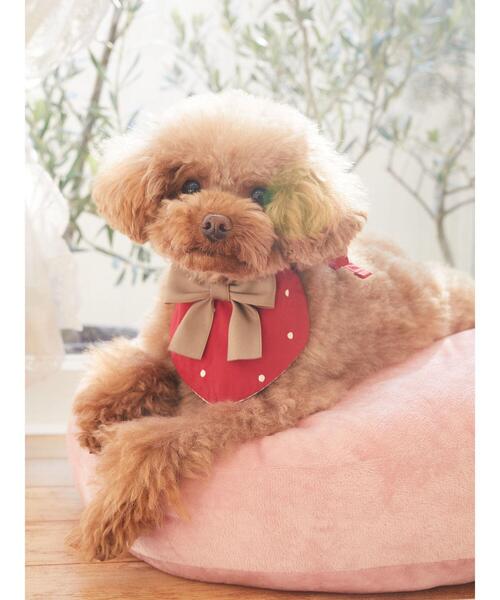 ペットクレートマット クッション 大きな苺 ペットクレートマット