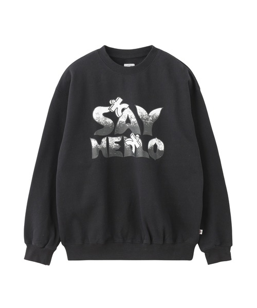 1979年 春夏連覇 和歌山県立箕島高等学校優勝記念 絵皿