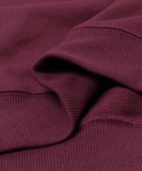 ITEMS URBANRESEARCH（アイテムズ アーバンリサーチ）の「TeddyBear ワンポイント スウェット（スウェット・メンズ・バーガンディー/グリーン/オートミール/ネイビー・LARGE/MEDIUM）」の18枚目の写真