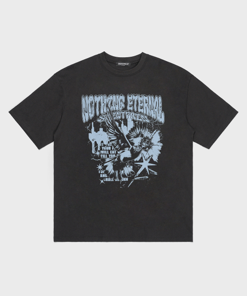 SAINTPAIN(セイントペイン)の「SP ピジョン 半袖Tシャツ ブラック(Tシャツ/カットソー・メンズ・その他・MEDIUM/LARGE)」の1枚目の写真