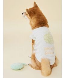 gelato pique（ジェラートピケ）の「【CAT&DOG】フルーツジャガードプルオーバー（リード/ハーネス/首輪）」