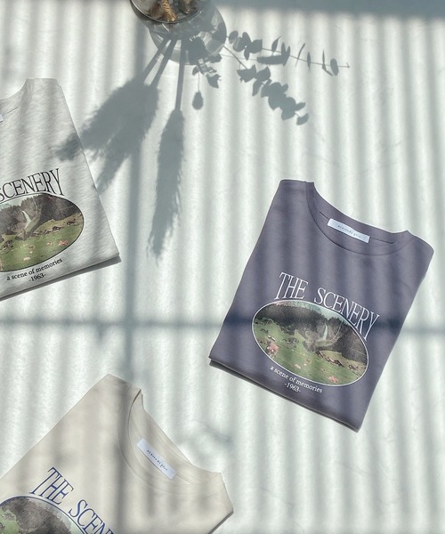 AS KNOW AS plus（アズノゥアズプラス）の「●vintageフォトＴシャツ（Tシャツ/カットソー・レディース・ライトブルー/オートミール/キナリ・FREE）」の11枚目の写真