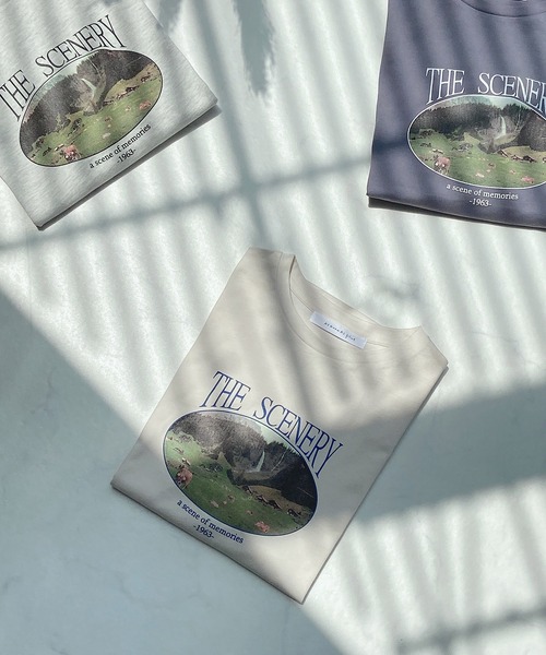 AS KNOW AS plus（アズノゥアズプラス）の「●vintageフォトＴシャツ（Tシャツ/カットソー・レディース・ライトブルー/オートミール/キナリ・FREE）」の17枚目の写真