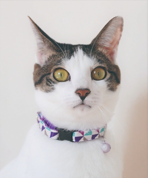 猫の暮らし(ネコノクラシ)の「猫の暮らし/キャットカラー モザイク(ペットウェア・メンズ・レッド/パープル/イエロー・S)」の2枚目の写真