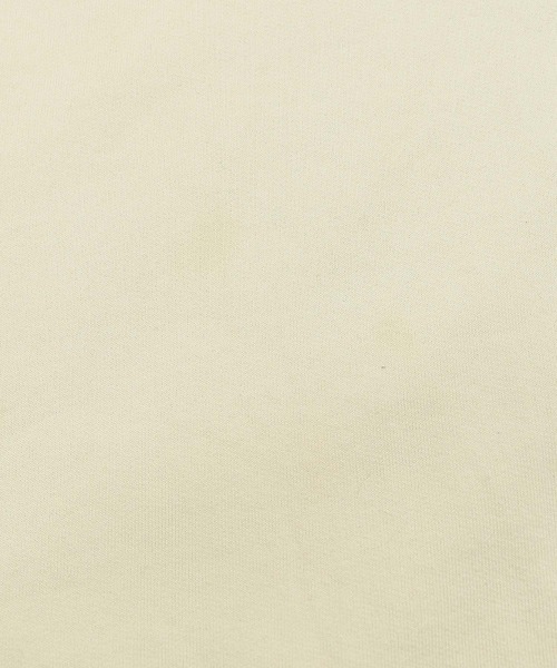 Eddie Bauer(エディーバウアー)の「【ヴィンテージ古着】Y2K Eddie Bauer/エディバウアー 刺繍 クルーネックスウェット(スウェット・メンズ・ベージュ・LARGE)」の5枚目の写真