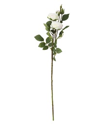 a.depeche(�A�f�y�V��)�́ya.depeche/�A�f�y�V���z�A�[�e�B�t�B�V�����t�����[ ���ԁ@colorer ���[�Y(23-02-WH)(�t�����[�x�[�X)