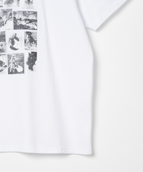 Millo Archive（ミロ アーカイブ）の「カスタムフレームキャットTシャツ[ホワイト]（Tシャツ/カットソー・メンズ・その他・LARGE/X-LARGE/MEDIUM）」の5枚目の写真