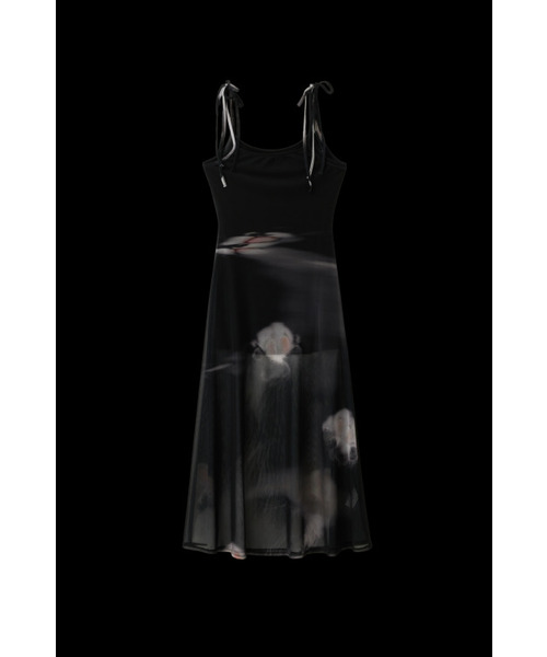 ACCEPTANCELETTERSTUDIO(アクセプタンス レター スタジオ)の「ネコ用ドレス(ワンピース・レディース・その他・S/M/M/L)」の1枚目の写真