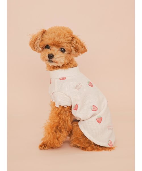 gelato pique(ジェラートピケ)の「【CAT&DOG】フルーツ柄ワッフルカットソープルオーバー(リード/ハーネス/首輪・レディース・ピンク/ミント/イエロー・S/M/L)」の13枚目の写真