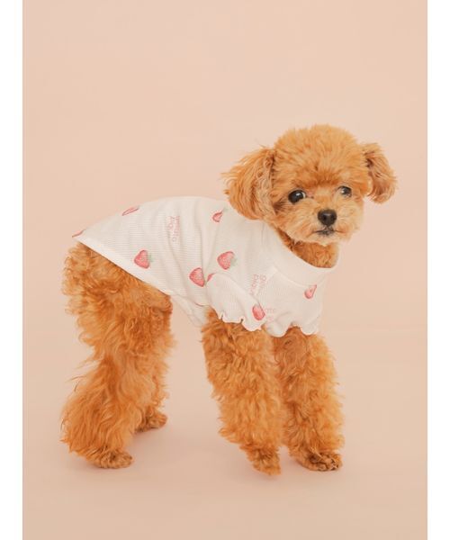 gelato pique(ジェラートピケ)の「【CAT&DOG】フルーツ柄ワッフルカットソープルオーバー(リード/ハーネス/首輪・レディース・ピンク/ミント/イエロー・S/M/L)」の14枚目の写真