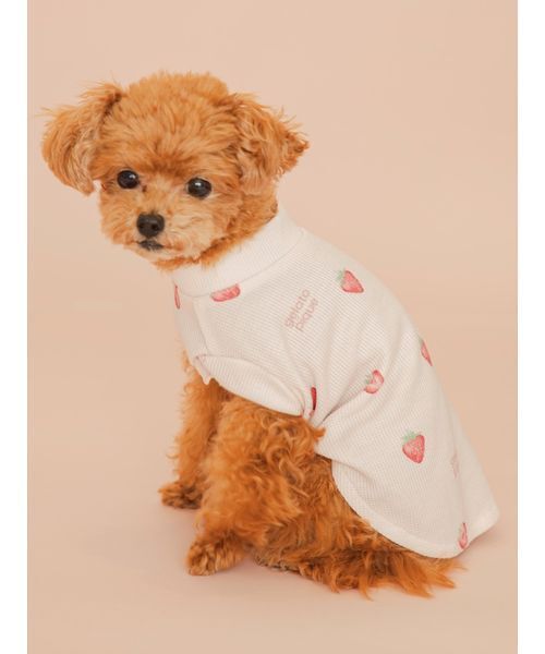 gelato pique(ジェラートピケ)の「【CAT&DOG】フルーツ柄ワッフルカットソープルオーバー(リード/ハーネス/首輪・レディース・ピンク/ミント/イエロー・S/M/L)」の15枚目の写真