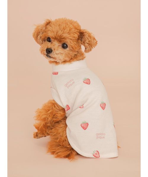 gelato pique(ジェラートピケ)の「【CAT&DOG】フルーツ柄ワッフルカットソープルオーバー(リード/ハーネス/首輪・レディース・ピンク/ミント/イエロー・S/M/L)」の16枚目の写真
